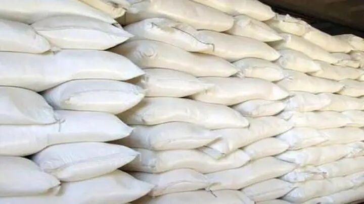 کشف حیرت‌انگیز بیش از ۶ تن آرد قاچاق در الیگودرز؛ دستگیری عاملان در کارگاه مخفی