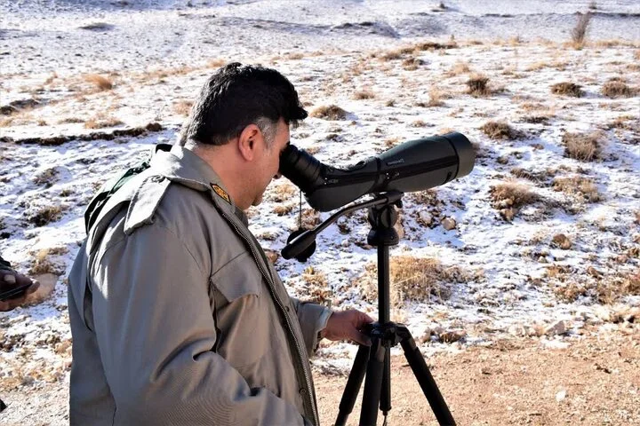 آغاز سرشماری زمستانه پستانداران در زیستگاه‌های حساس اردبیل؛ آیا خرس قهوه‌ای همچنان حضور دارد؟