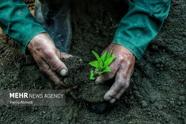 هشدار فوری در هرمزگان: سیلاب، تندباد و سرمازدگی همزمان در راه است!