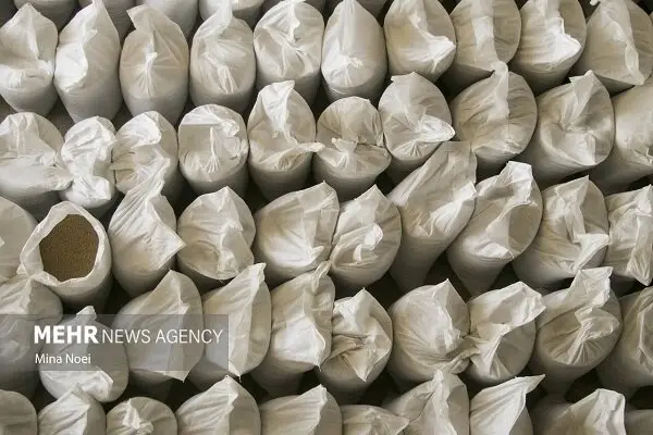 کشف حیرت‌انگیز ۴۱ هزار تن برنج و نهاده دامی قاچاق در تهران!