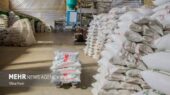 آغاز توزیع برنج دولتی در بوشهر؛ آیا این بار دسترسی آسان‌تر می‌شود؟