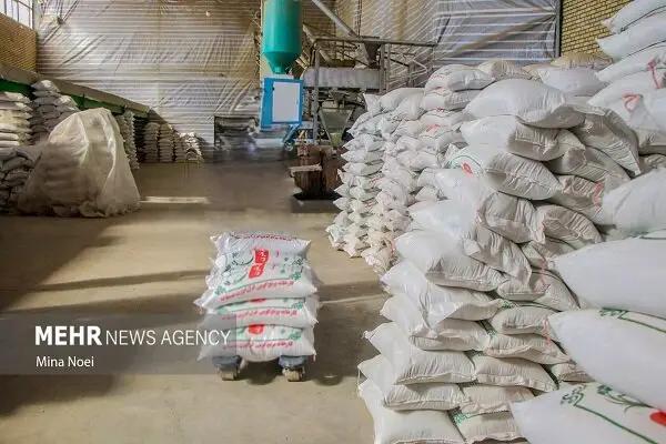 تووزیع فوری ۲۸ تن برنج تنظیم بازاری در مشگین‌شهر؛ بازار در آستانه آرامش!