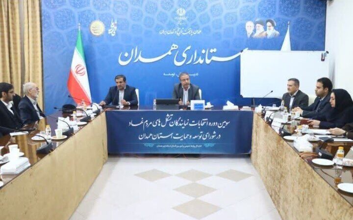 امرایی: سمن‌ها، کلید طلایی حل بحران‌های اجتماعی در کشور!