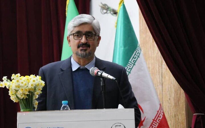 بهجت حقیقی: تشکل‌ها، کلید طلایی تنظیم بازار و امنیت غذایی کشور!