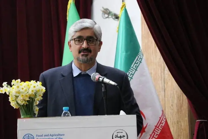 بهجت حقیقی: تشکل‌ها، کلید طلایی تنظیم بازار و امنیت غذایی کشور!