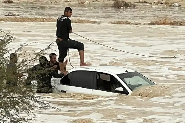 سیلاب مهیب در پارسیان؛ خودرو و احشام در دل رودخانه غرق شدند!