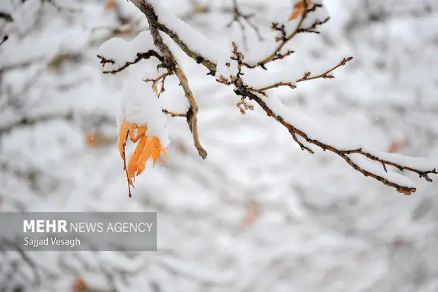 پوشش برفی بی‌سابقه ارتفاعات یزد، طبیعت را سفیدپوش کرد!