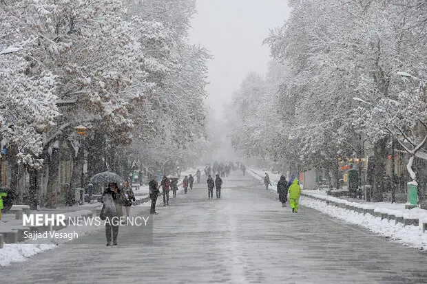 هشدار جدی پلیس راه همدان: مه غلیظ گردنه‌ها سفر را به مخاطره انداخت!