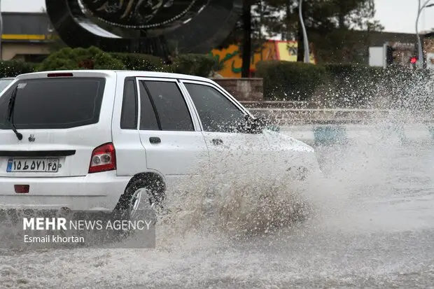 بارش بی‌سابقه ۴۱.۵ میلی‌متری در کاشمر طی ۴۸ ساعت؛ طبیعت در اوج طراوت!
