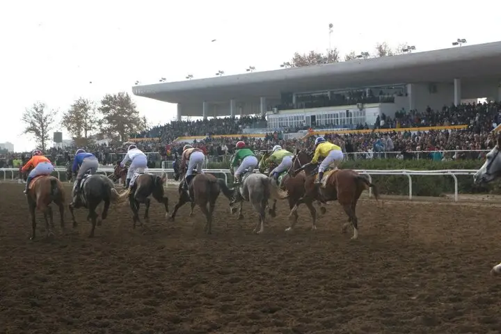 رقابت نفس‌گیر ۷۴ اسب در گنبدکاووس برای شکار جایزه ۲۴ میلیاردی!