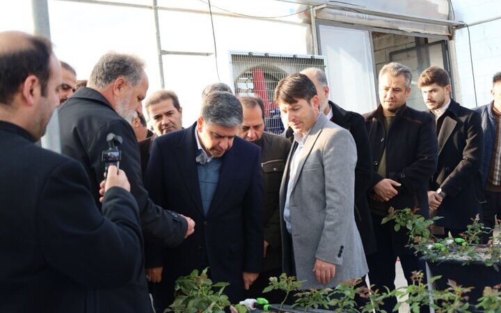 افتتاح گلخانه رز گلد در سرعین با ظرفیت تولید ۱۰۰ هزار شاخه گل در سال