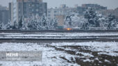 بارش بی‌وقفه برف در مشهد؛ شهر سفیدپوش همچنان در انتظار زمستانی سخت!