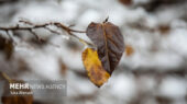 بارش بی‌سابقه برف در تربت جام؛ زندگی مردم زیر پوشش سفید زمستانی فرو رفت!