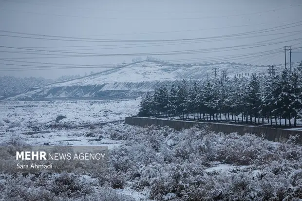 دمای مشهد امشب به منفی ۲ می‌رسد؛ بارش شدید برف آغاز شد!