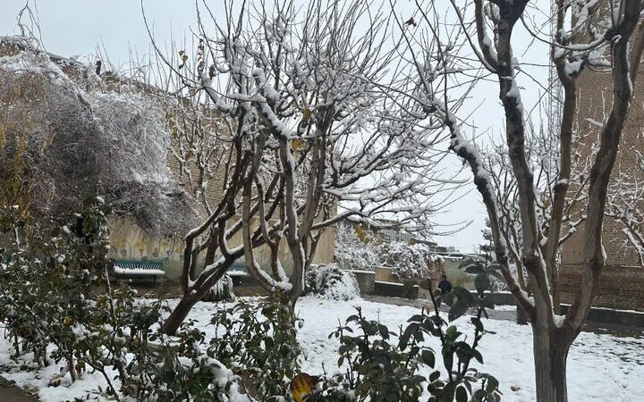 چناران در زیر بارش برف؛ روزی جادویی و خاطره‌انگیز در شهرستان تاریخی