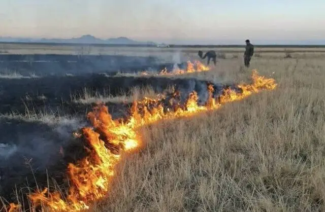 آتش‌سوزی مهیب در سواحل جنوبی دریاچه ارومیه؛ واکنش سریع نیروها آتش را خاموش کرد!