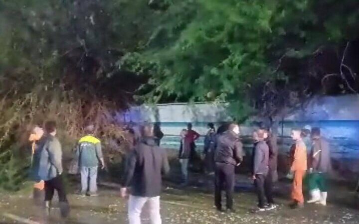 طوفان سنگین در بوشهر؛ چرا هیچ خسارت جانی گزارش نشد؟