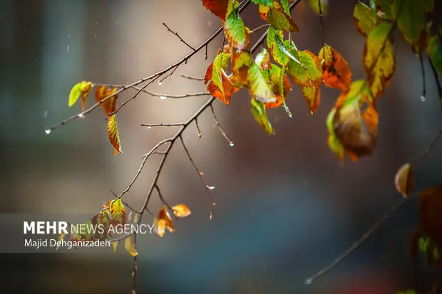 بارش‌های سنگین در لرستان تا سه‌شنبه؛ آماده موج دوم باران و برف باشید!