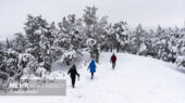 بارش شگفت‌انگیز ۵۵ سانتی‌متری برف در روستای علی کرمی دمچنار؛ طبیعت سفیدپوش شد!