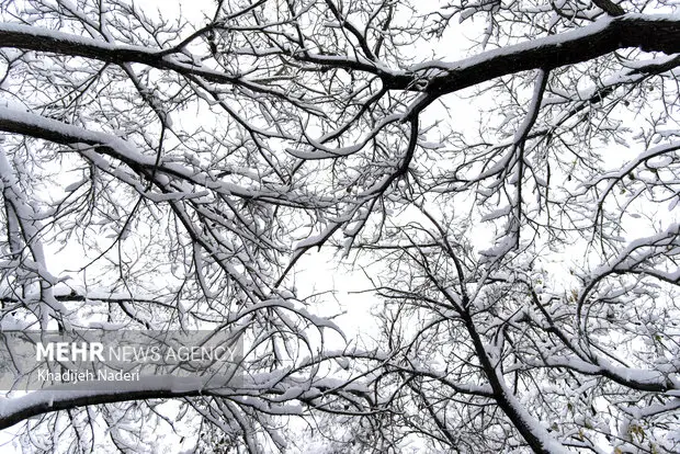 بارش شدید برف مدارس سلفچگان، خلجستان و قاهان را به تعطیلی کشاند!