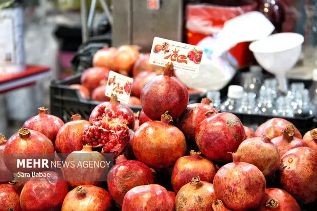 یلدا در همدان؛ رمزگشایی از آیینی که تاریکی را به نور پیوند می‌دهد
