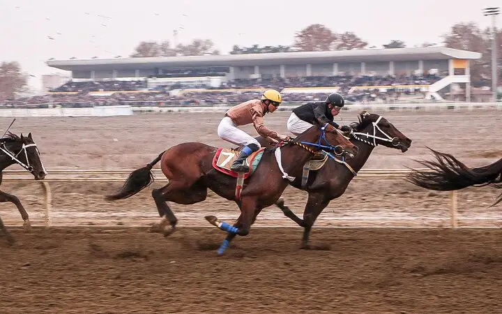 جایزه میلیاردی هفته ششم کورس پاییزی گنبد؛ رقابت نفس‌گیر اسب‌های ترکمن و تروبرد