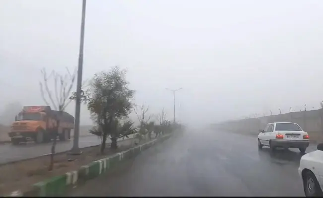 هشدار جدی مه صبحگاهی؛ دید رانندگان در محورهای بوشهر شدیداً کاهش یافت!