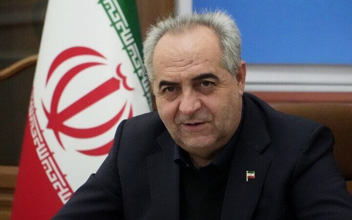 سرمست: تشکل‌های صنفی، ستون اجرای سیاست‌های دولت در جامعه می‌شوند!