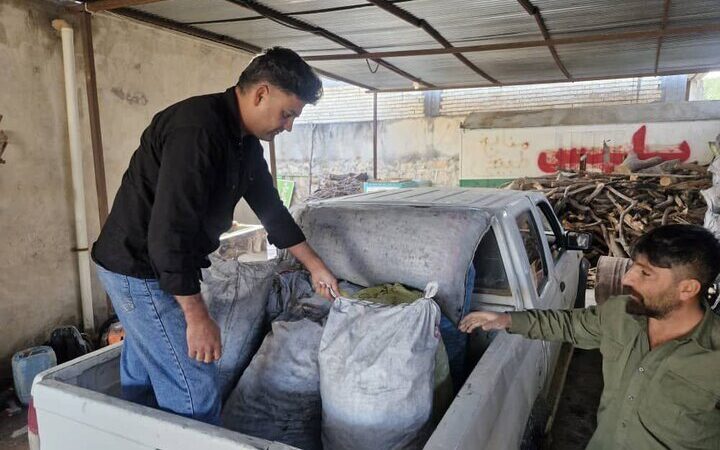 کشف حیرت‌انگیز ۴۶۰۰ کیلوگرم هیزم قاچاق در دل کهگیلویه و بویراحمد!