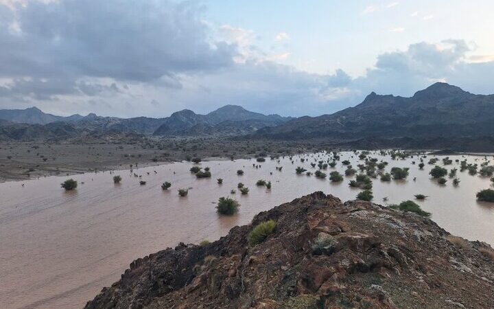 سازه‌های آبخیزداری بیرجند پس از بارش‌های اخیر جان تازه گرفتند!