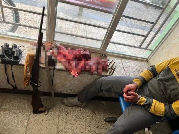 دستگیری چهار شکارچی غیرمجاز در سبزکوه با سایه‌بان هوشمند محیط‌بانان!