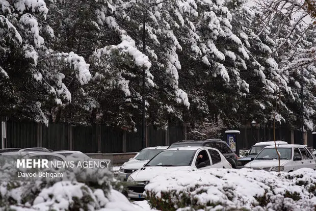 دمای هوای مشهد امشب به منفی ۲ درجه می‌رسد؛ هشدار مبشری نسب درباره وضعیت جوی خراسان رضوی
