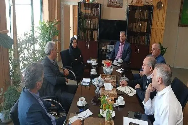 آفات و بیماری‌های گیاهی چگونه تهدیدی جدی برای جنگل‌های کشور شدند؟