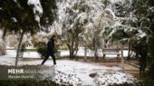 بارش برف سنگین در روستای رختیان؛ طبیعت سفیدپوش شد!