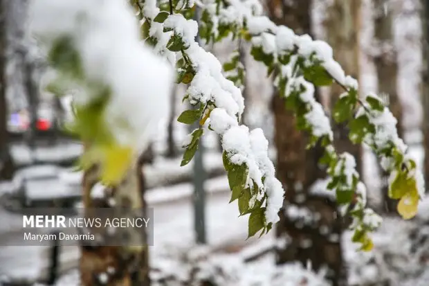 بارش برف کم‌سابقه در کاشان؛ آیا زمستان زودرس در راه است؟