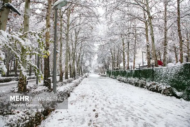 بارش برف سنگین و کولاک در راه زنجان؛ هشدار زرد هواشناسی صادر شد!