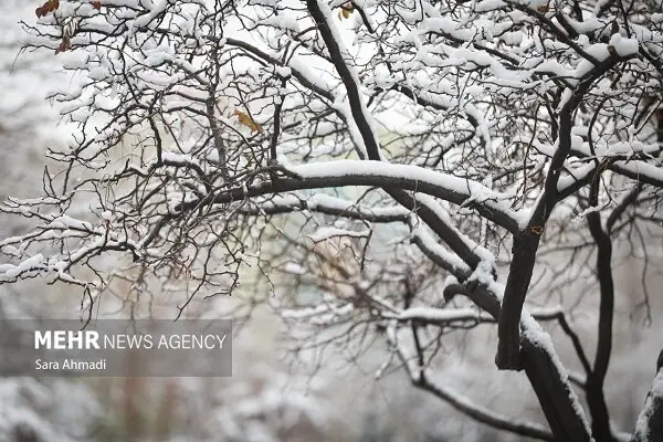 ورود سامانه بارشی قدرتمند به کشور؛ برف و کولاک شدید در راه است!