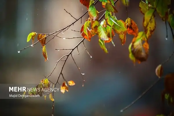 احمدی‌نژاد خبر داد: ورود سامانه بارشی ضعیف و برفی به ایلام؛ باران قابل توجه نیست!