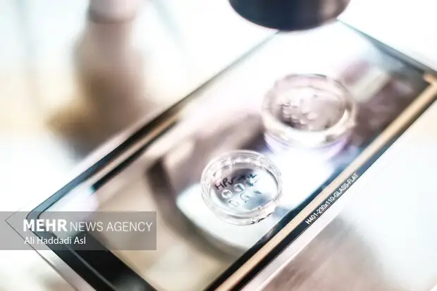 شمار حیرت‌انگیز 2700 زوج نابارور مازندران در سامانه بیمه سلامت ثبت شدند!