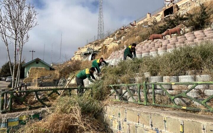 عملیات گسترده کاشت گل و گیاه در نقاط مختلف اردبیل به اوج رسید!