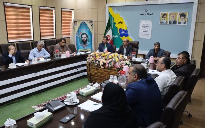 فرماندار دشتی: کارگروه اشتغال به اندازه مدیریت بحران اهمیت دارد، چرا کمتر دیده می‌شود؟