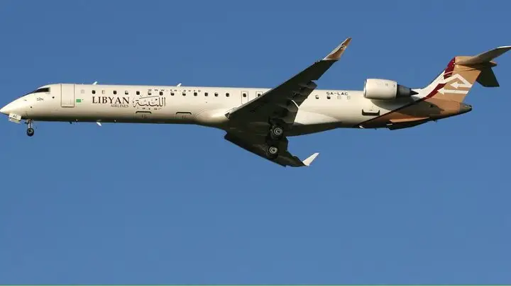 سقوط هواپیمای حامل رئیس ستاد ارتش لیبی در ترکیه؛ تحقیقات آغاز شد