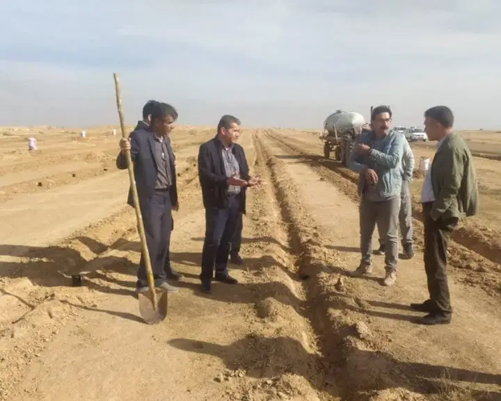 کاشت نخستین محصول کاپاریس در دهلران؛ راهکاری نوین برای مقابله با بیابان‌زایی