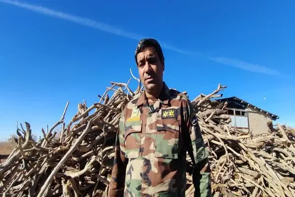 کشف حیرت‌انگیز ۲۳ تن چوب طاق قاچاق در سرایان؛ زغال مرغوب شمال در خطر!