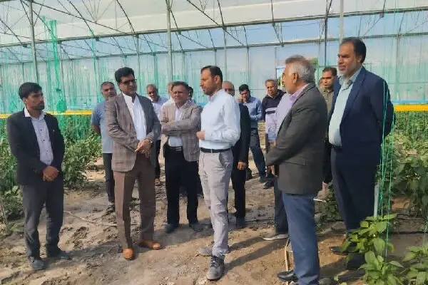 فرماندار رودان هشدار داد: بی‌توجهی به حریم رودخانه آب‌نما، تهدید جدی برای کشاورزی منطقه!