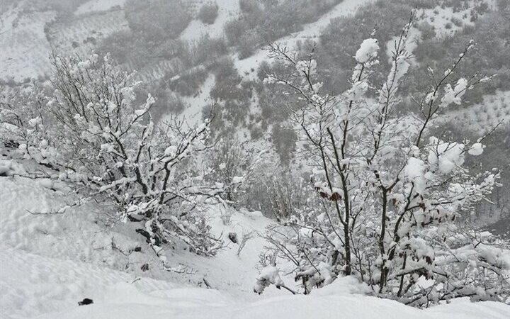 بارش برف و باران با هسته سرد؛ ایلام در انتظار طوفان طبیعت!