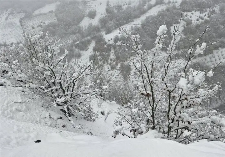 بارش برف و باران با هسته سرد؛ ایلام در انتظار طوفان طبیعت!