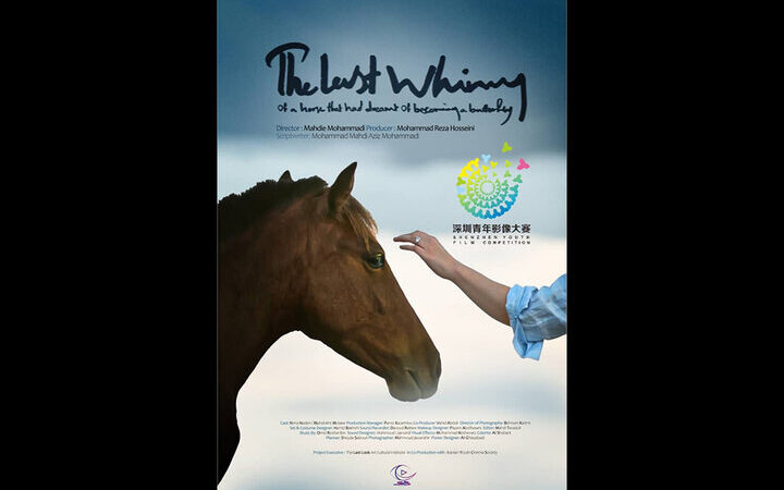 فیلم کوتاه ایرانی «آخرین شیهه اسب» به جشنواره معتبر شنژن چین راه یافت!