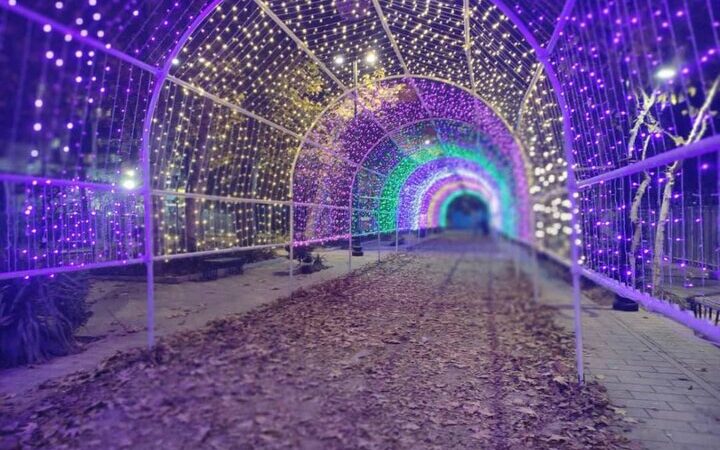 نورپردازی خیره‌کننده پهنه رودکی؛ تجربه‌ای تازه برای نشاط و فرهنگ شهری