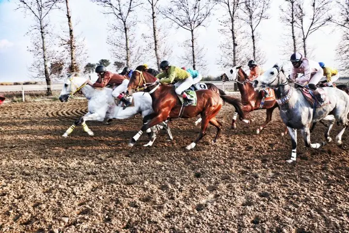 فینال نفس‌گیر روز دوم کورس گنبدکاووس با ۳۰ میلیارد جایزه نقدی!